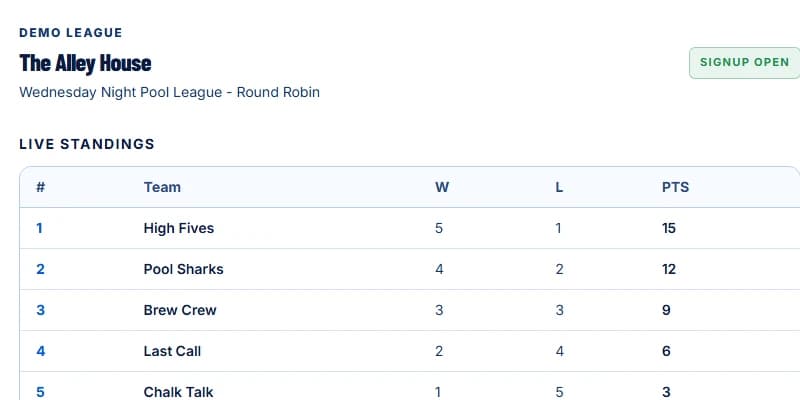 A real LeaguePour public competition page showing live standings for a demo pool league.